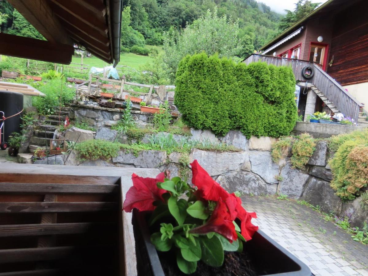 Holzhaus Bei Interlaken Рінґґенберґ Екстер'єр фото